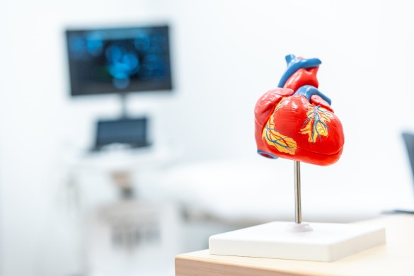 Aktuelle Cardiologie Cottbus: Tops und Flops der innovativen Herzmedizin zwischen 1994 und 2024